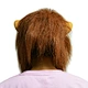 Animal Lion Mask